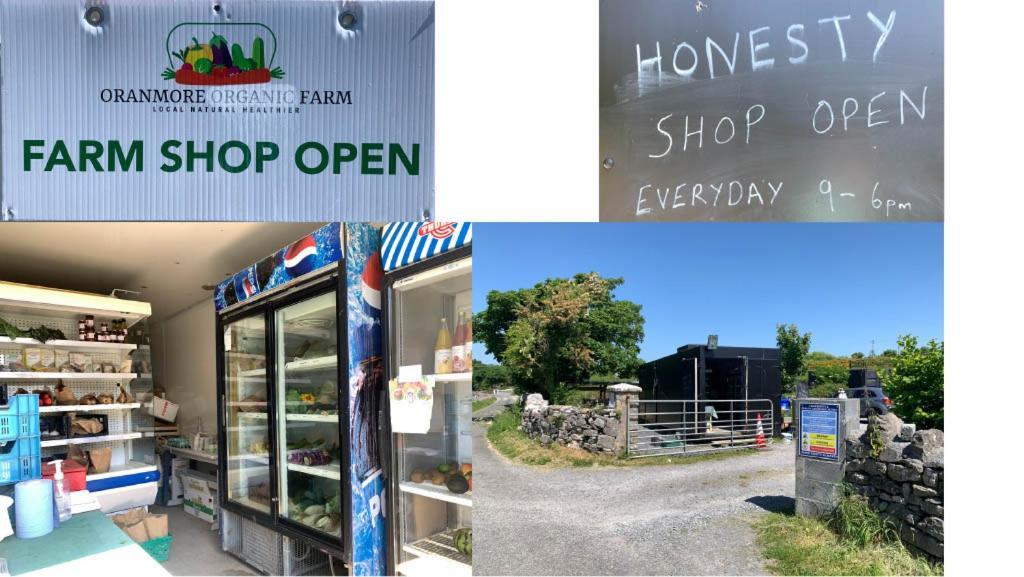 The Cosy Studio By The Shore Galway Kültér fotó